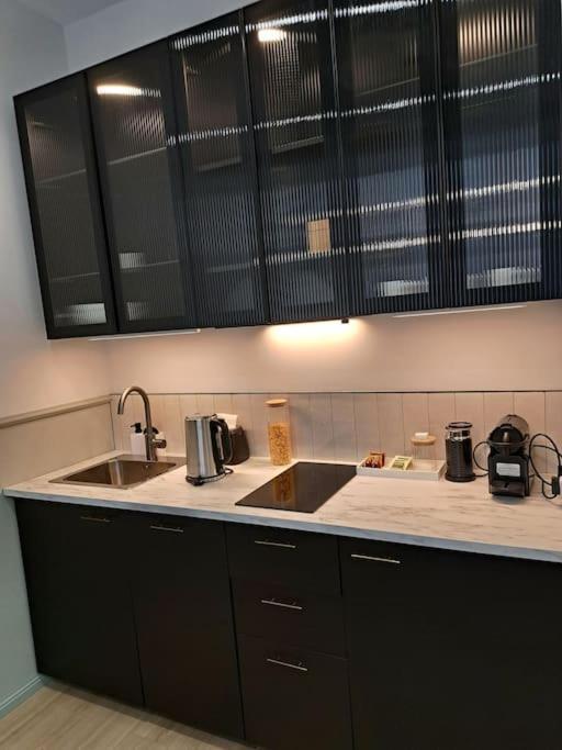 Golden Palms Apartment In The City Centre ريغا المظهر الخارجي الصورة